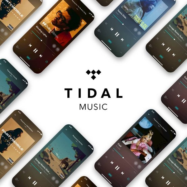 Tidal会员账号/续费